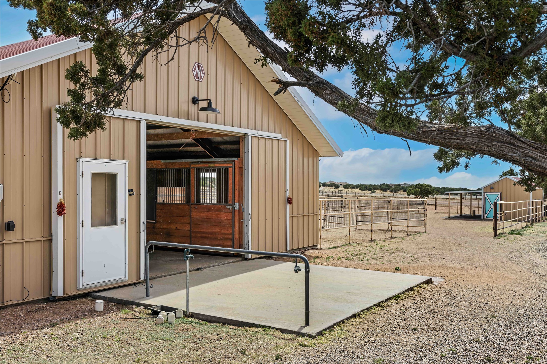 133 Jacinto