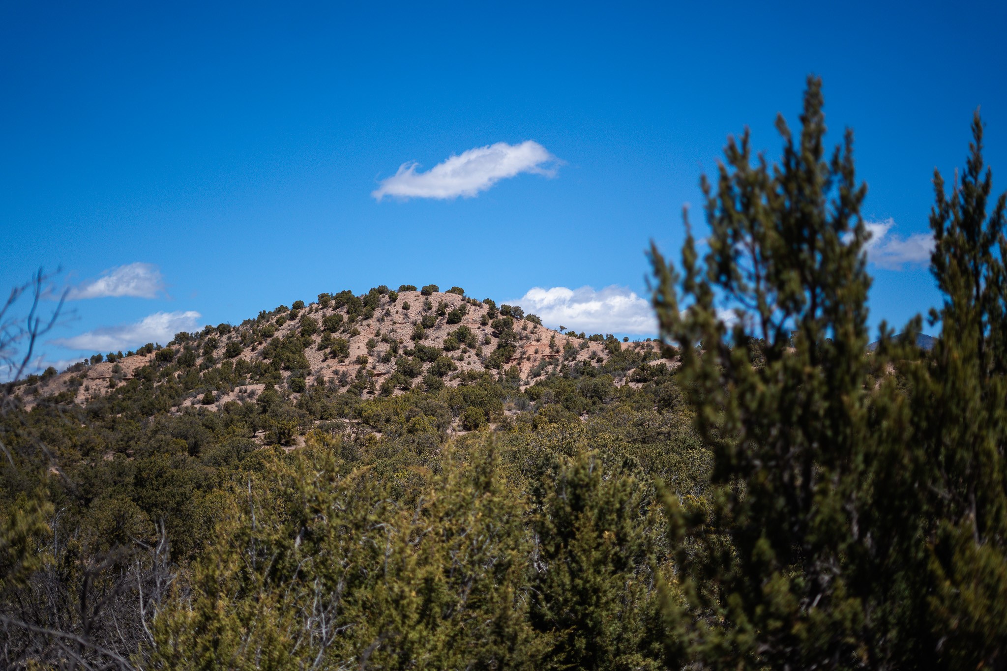 67 Acres Red Ridge Road