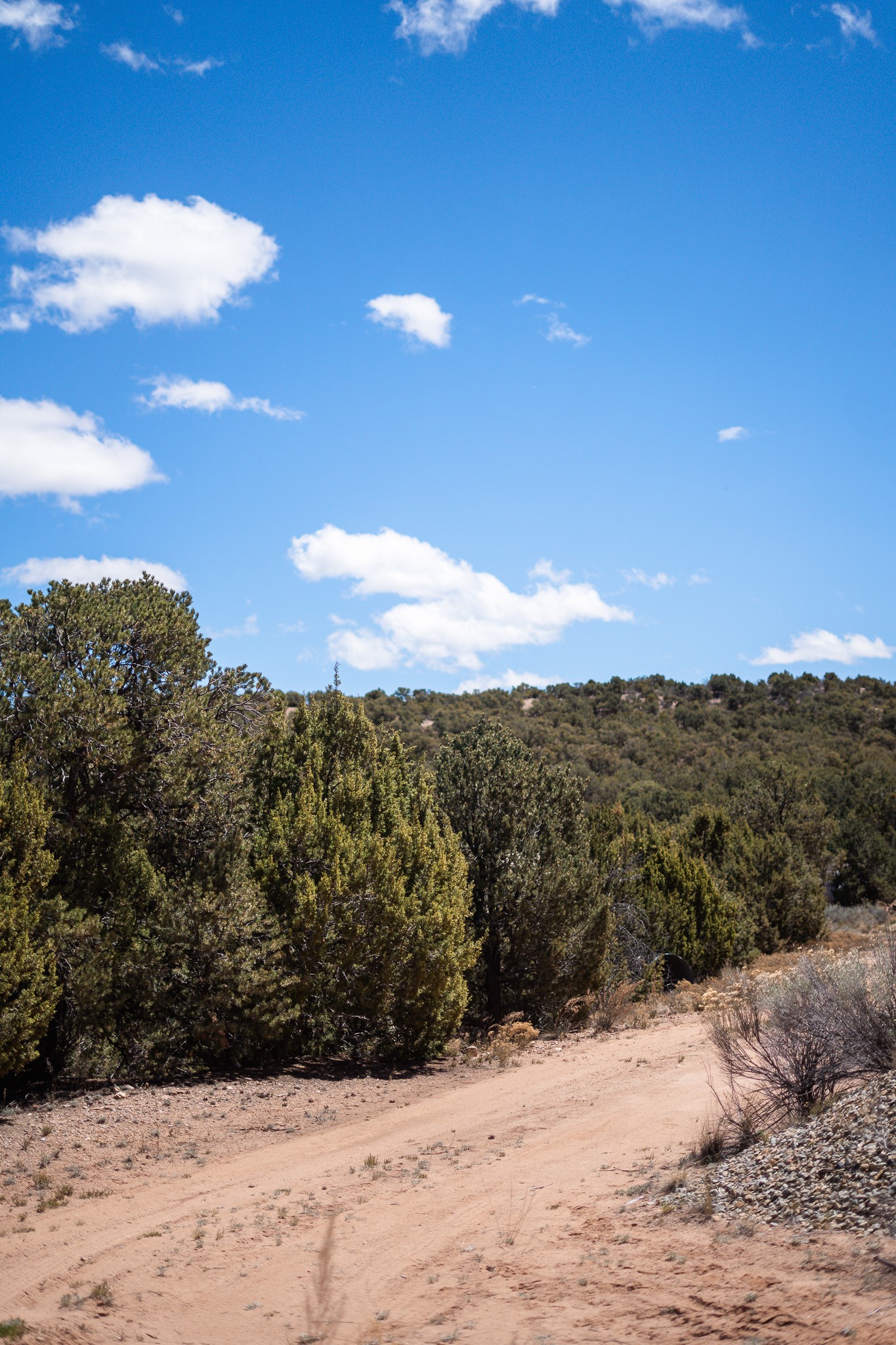 67 Acres Red Ridge Road