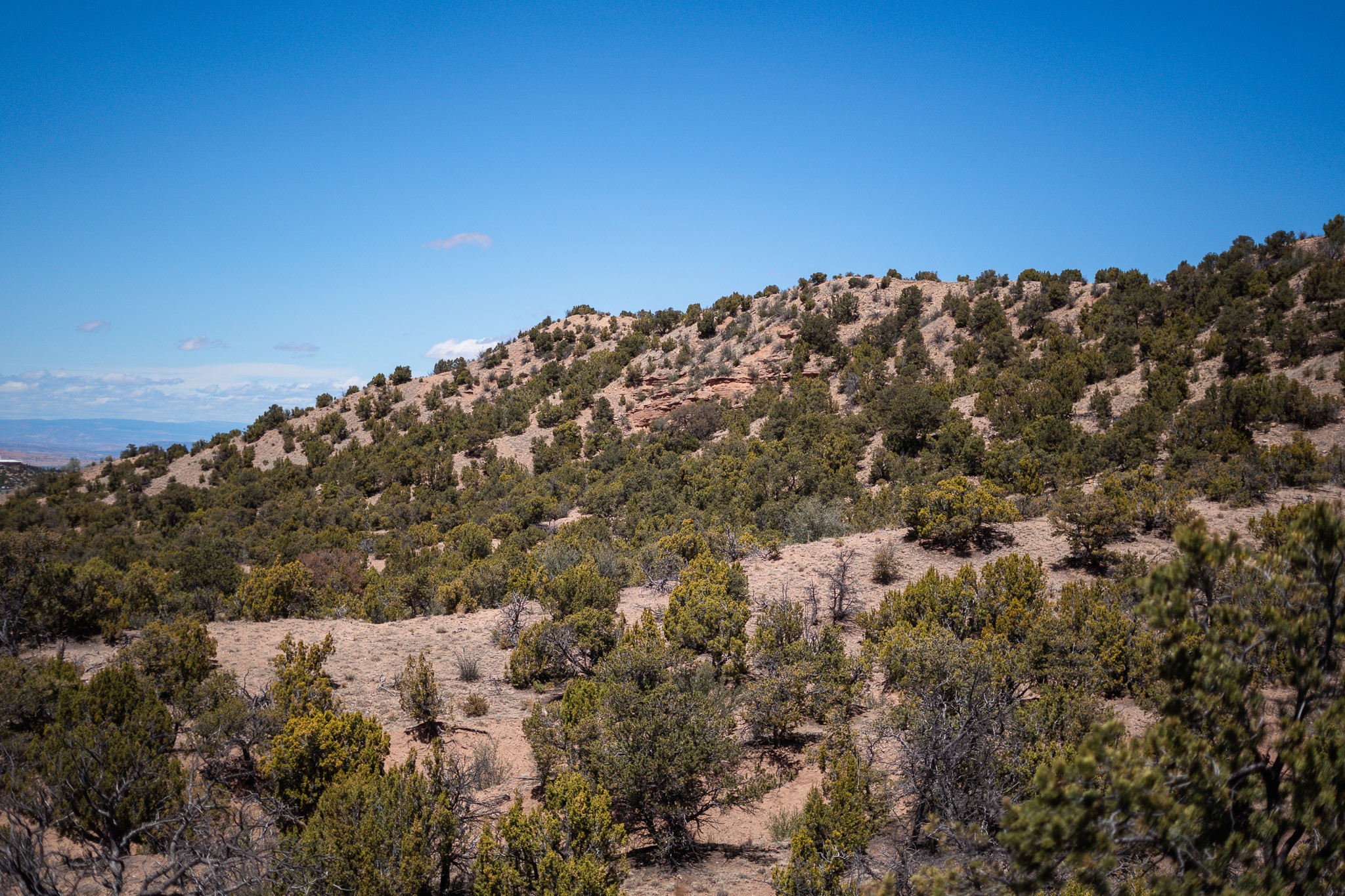 67 Acres Red Ridge Road