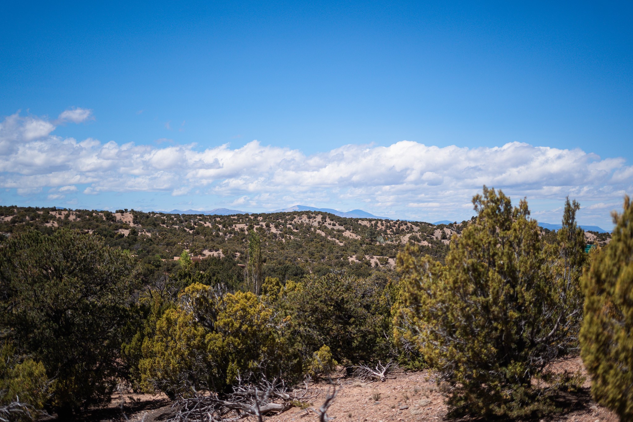 67 Acres Red Ridge Road