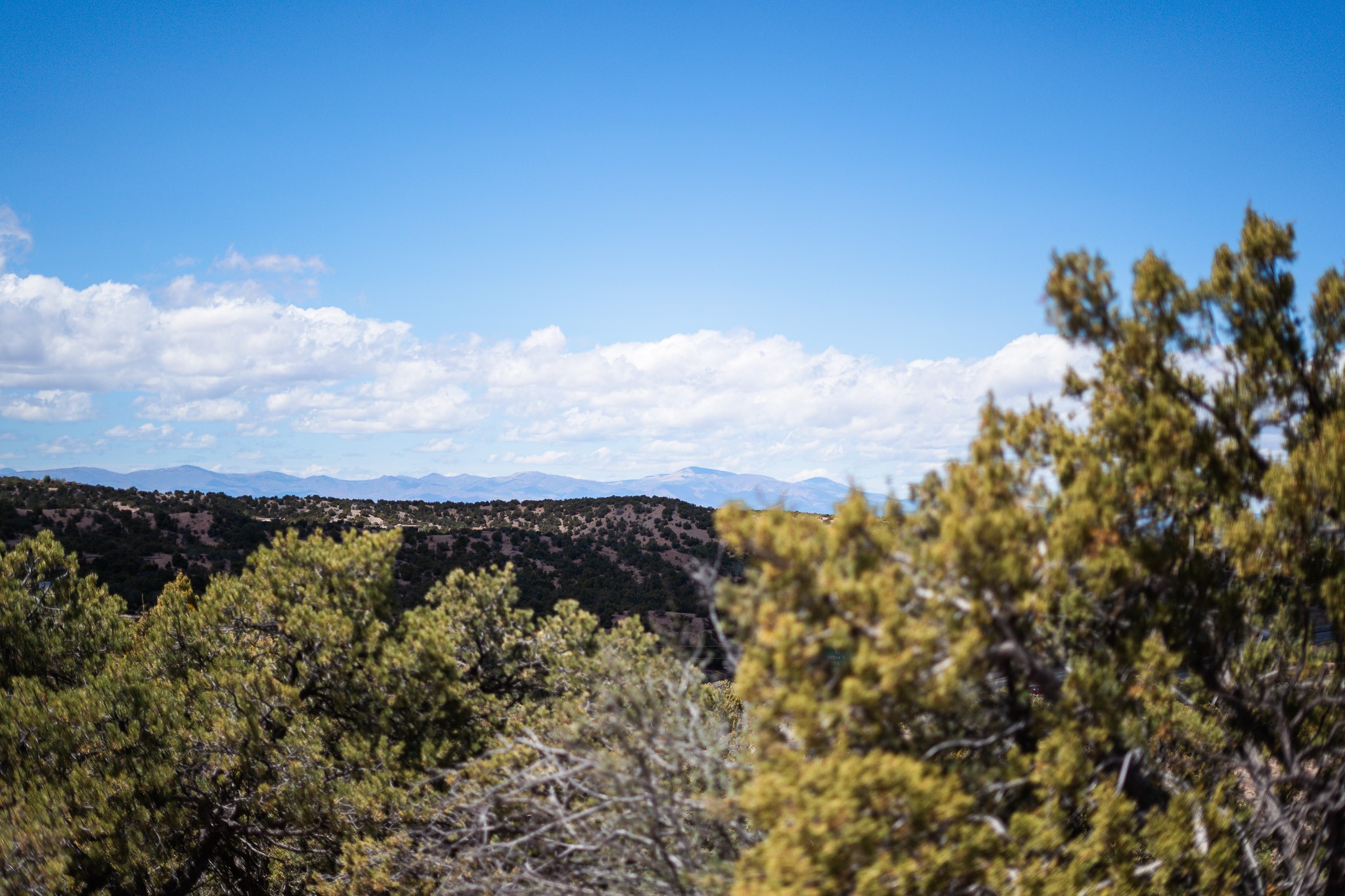 67 Acres Red Ridge Road