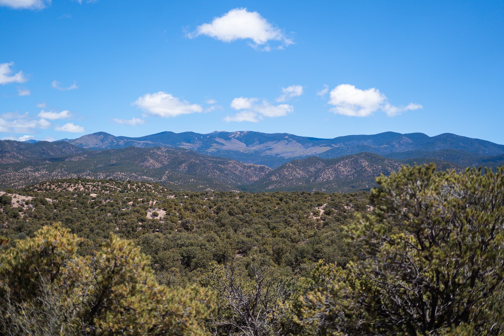 67 Acres Red Ridge Road