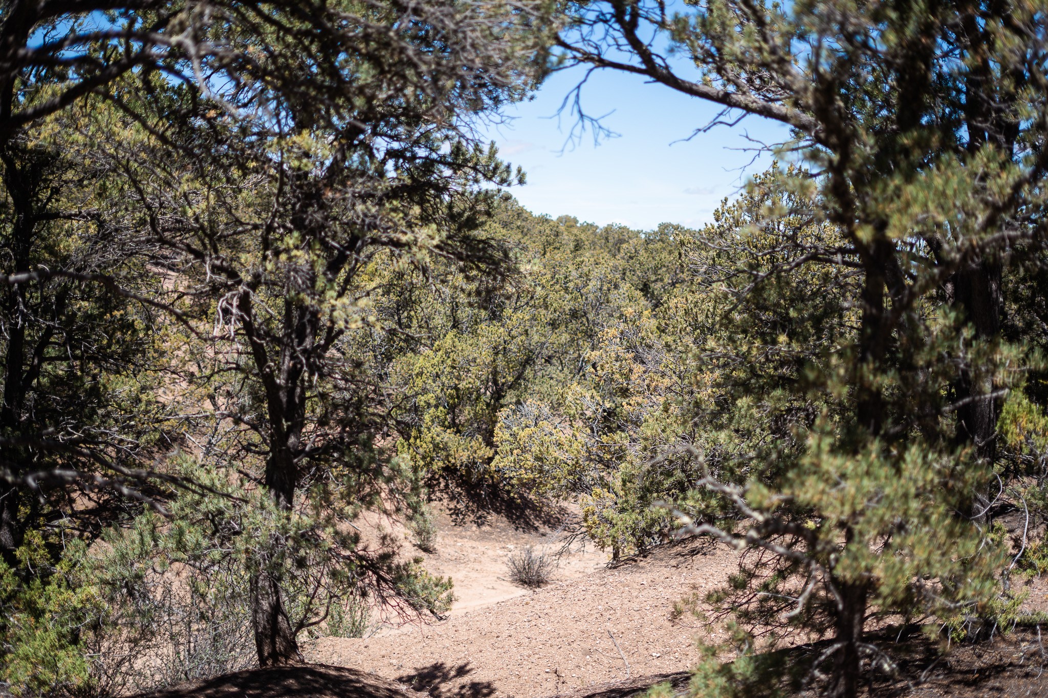 67 Acres Red Ridge Road