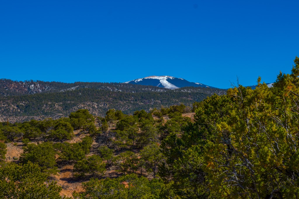 3 Lots Canon Escondido