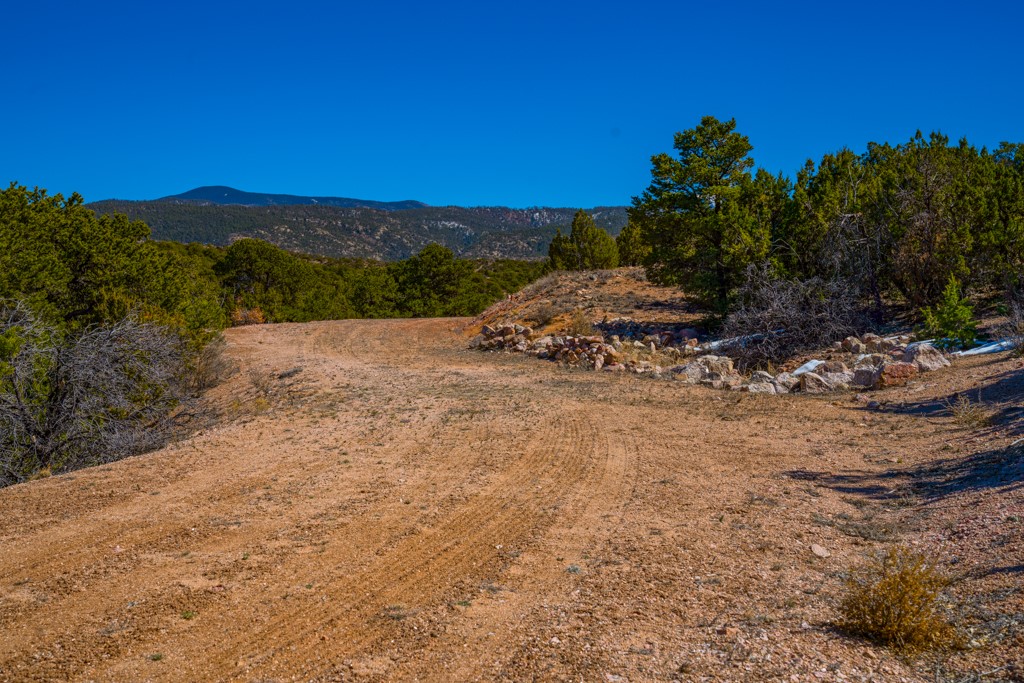 3 Lots Canon Escondido