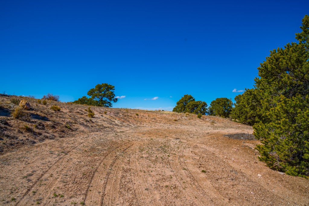3 Lots Canon Escondido