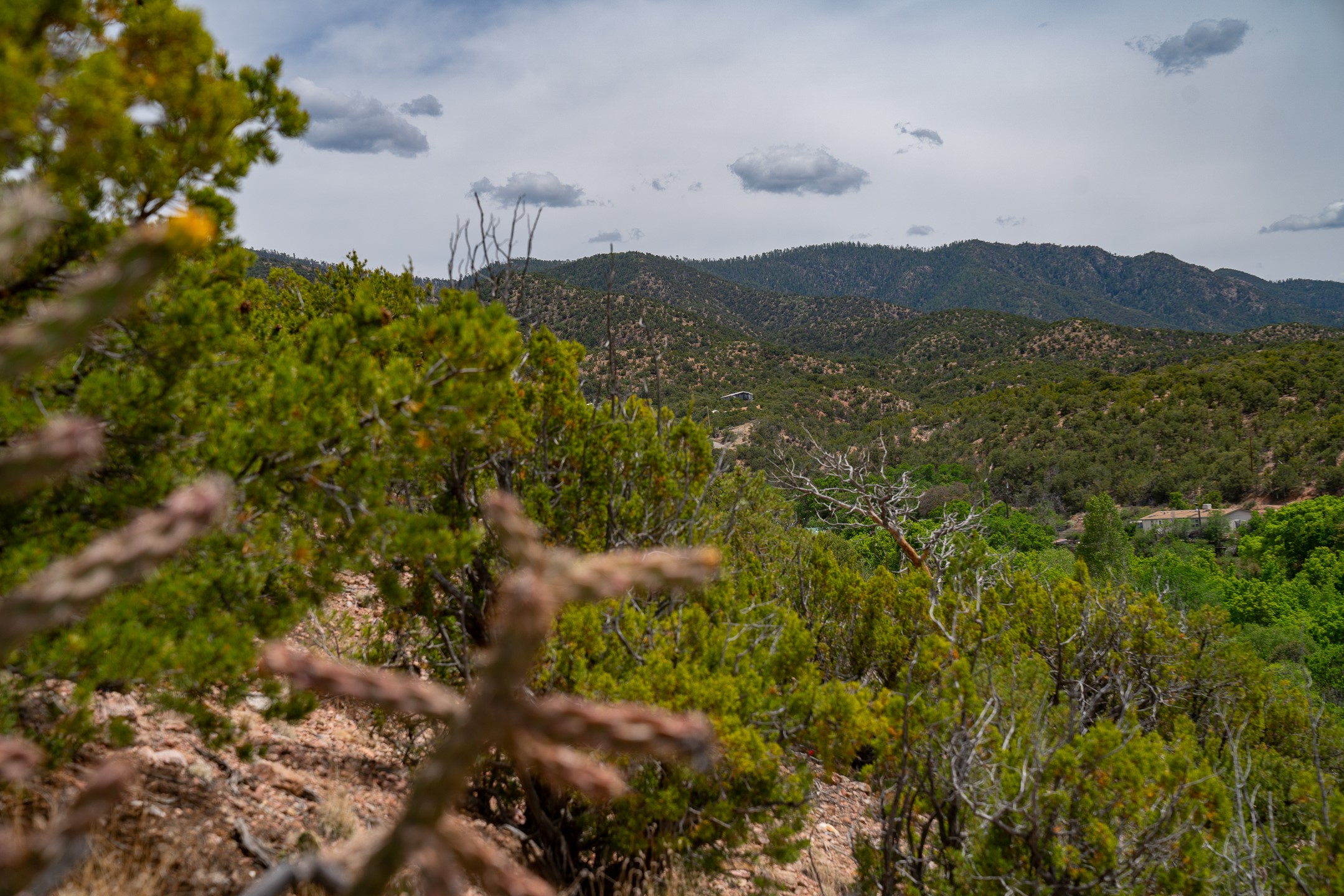 18 Rancho De Ortiz
