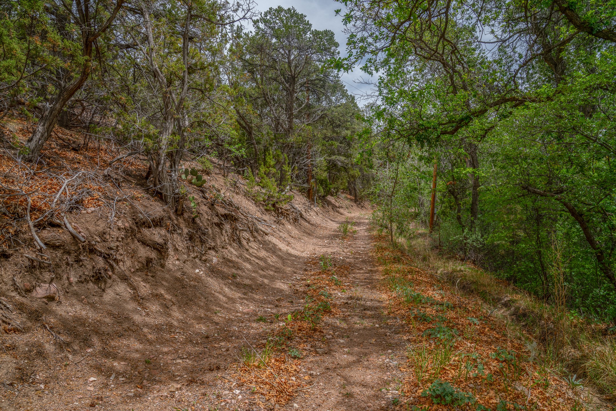 18 Rancho De Ortiz