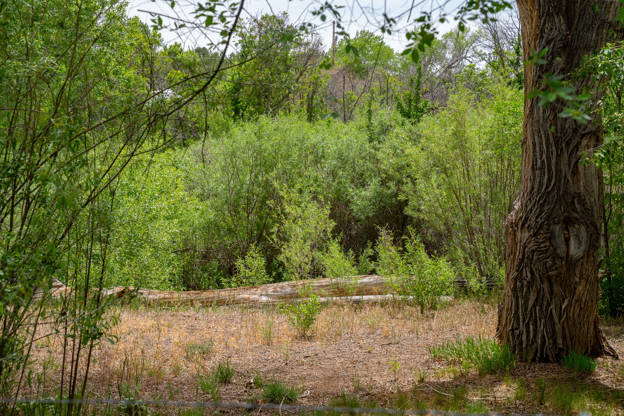 18 Rancho De Ortiz