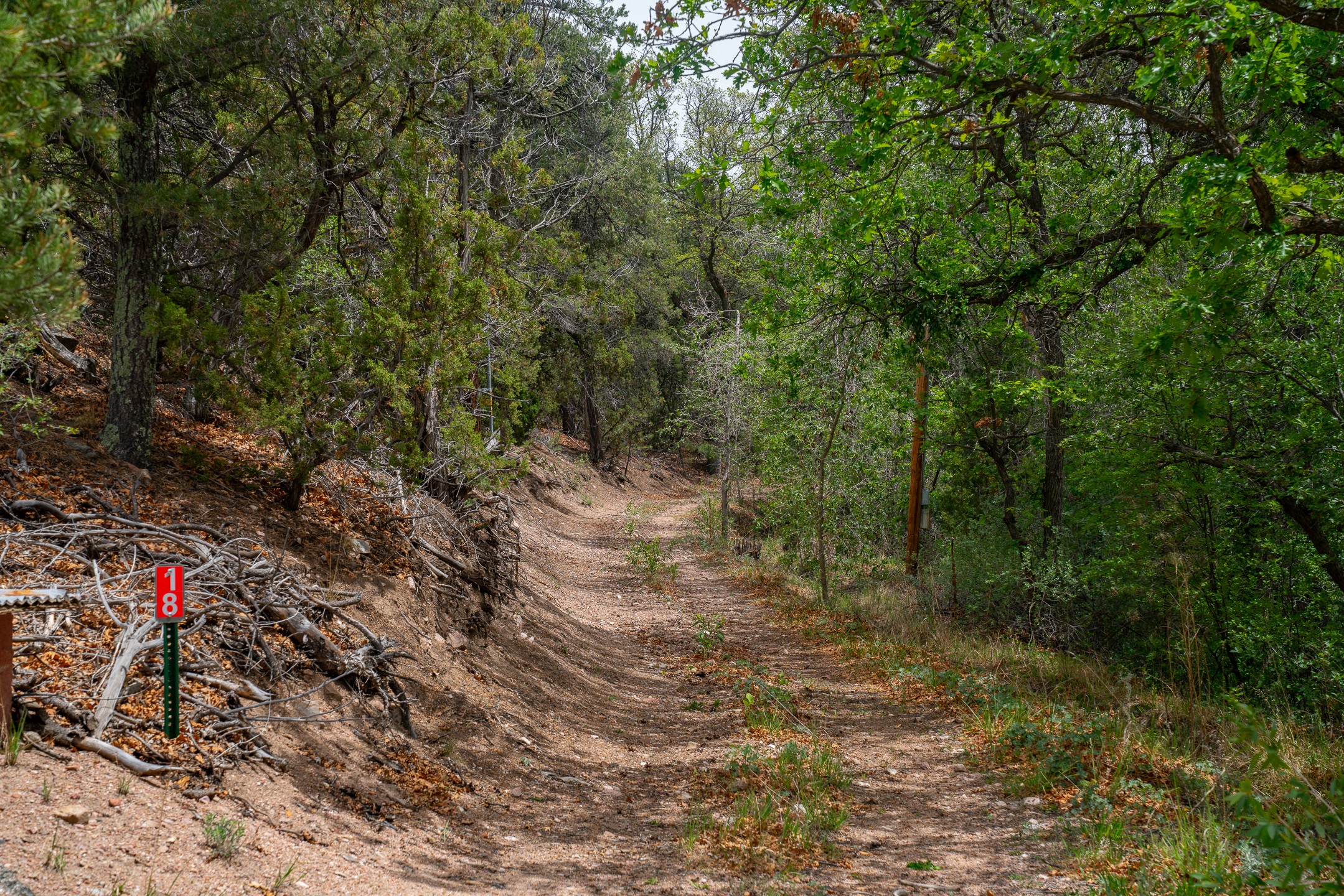 18 Rancho De Ortiz