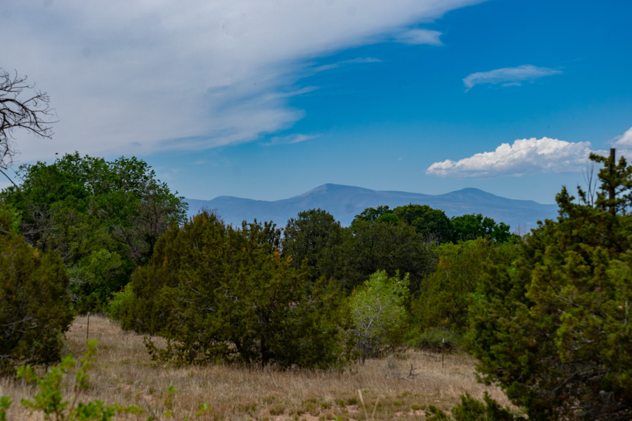 7 Rancho De Ortiz