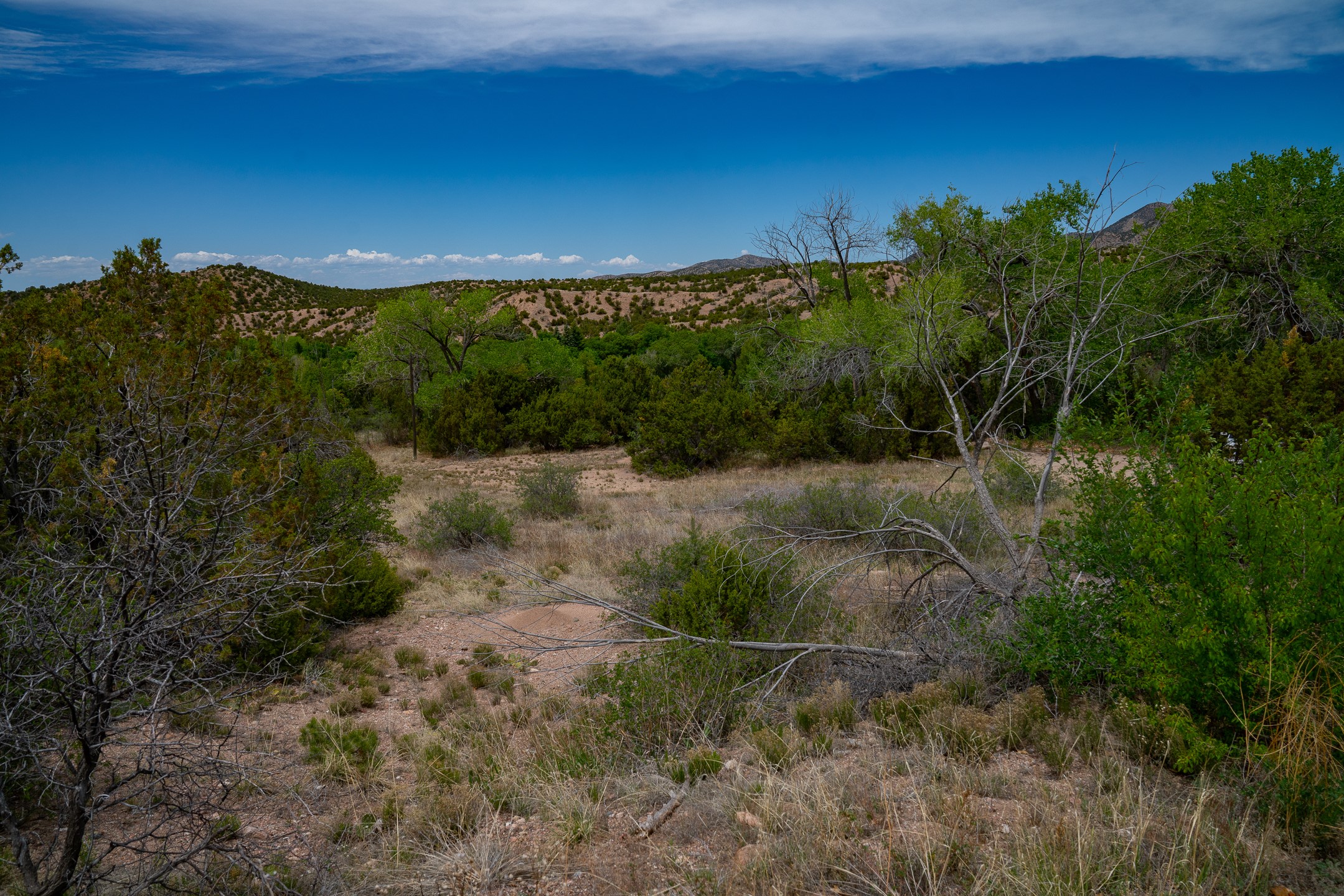 7 Rancho De Ortiz