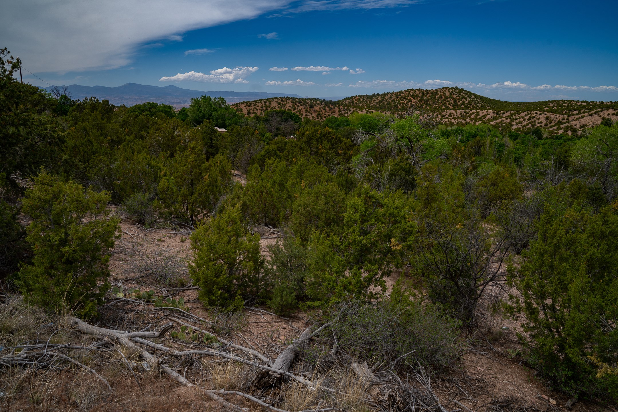 7 Rancho De Ortiz