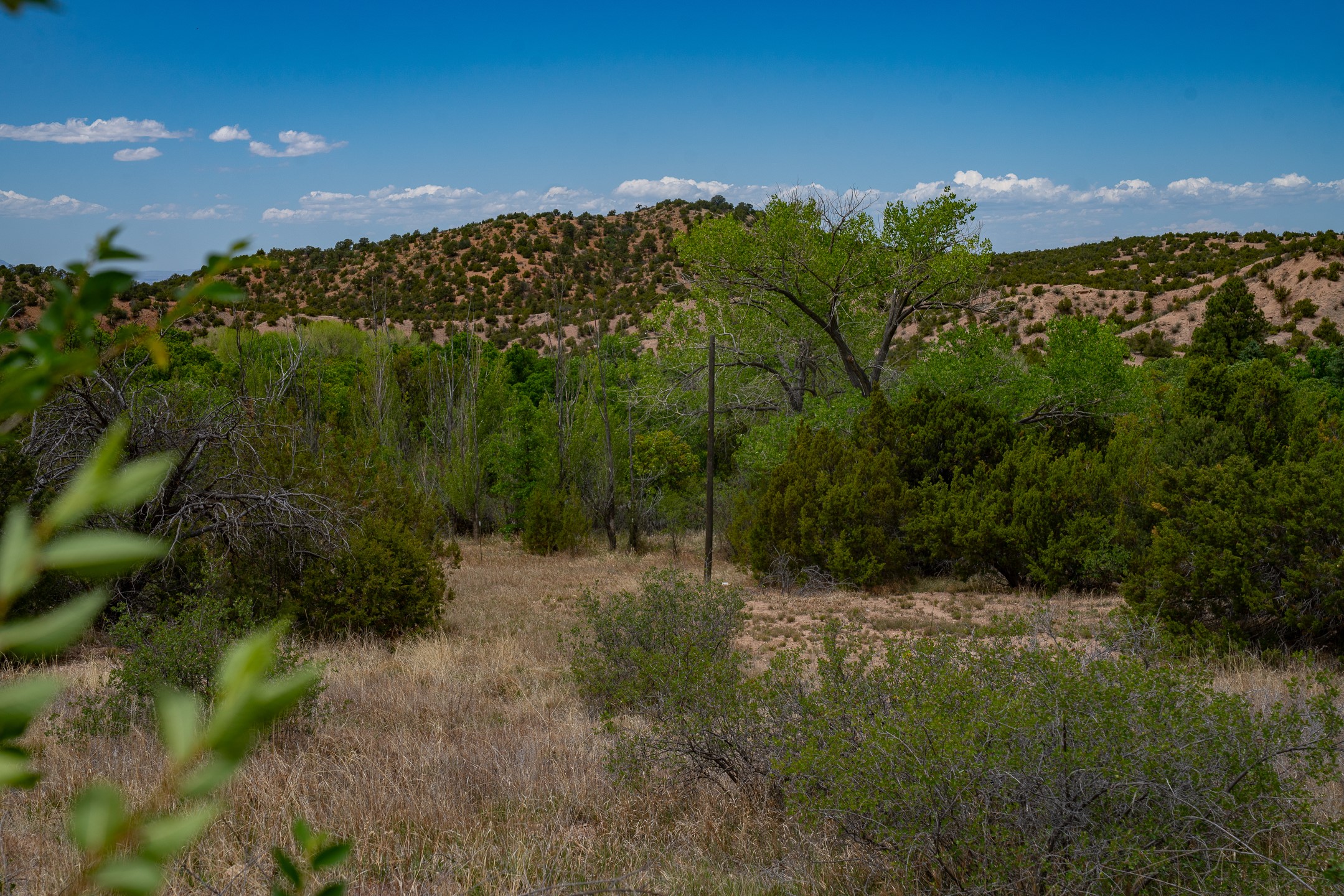 7 Rancho De Ortiz