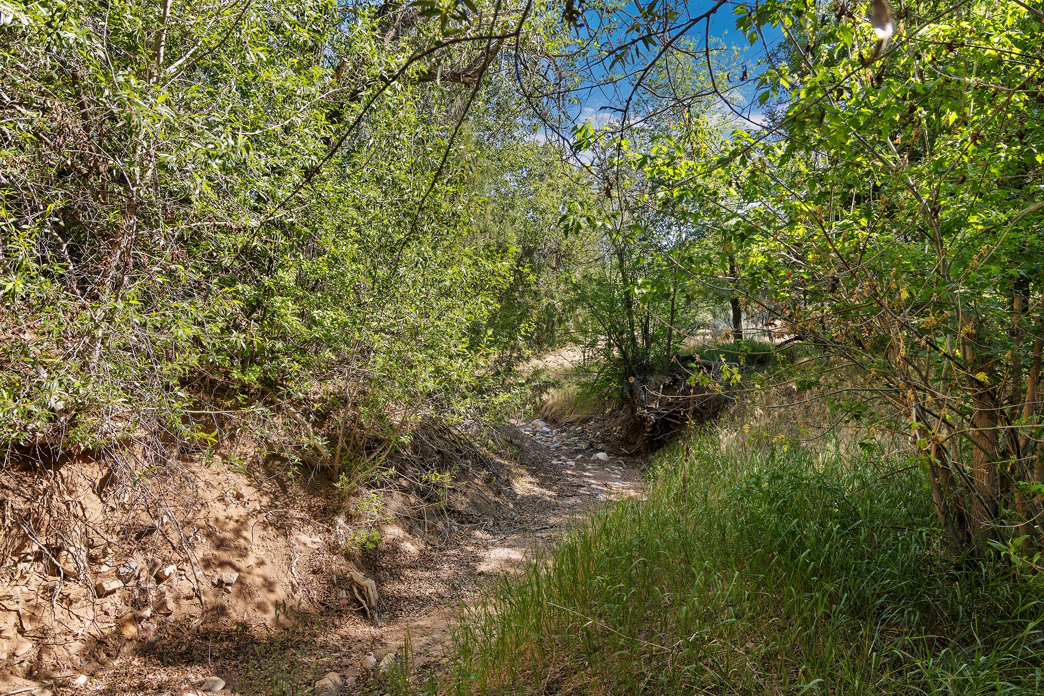 1330 Bishops Lodge Road