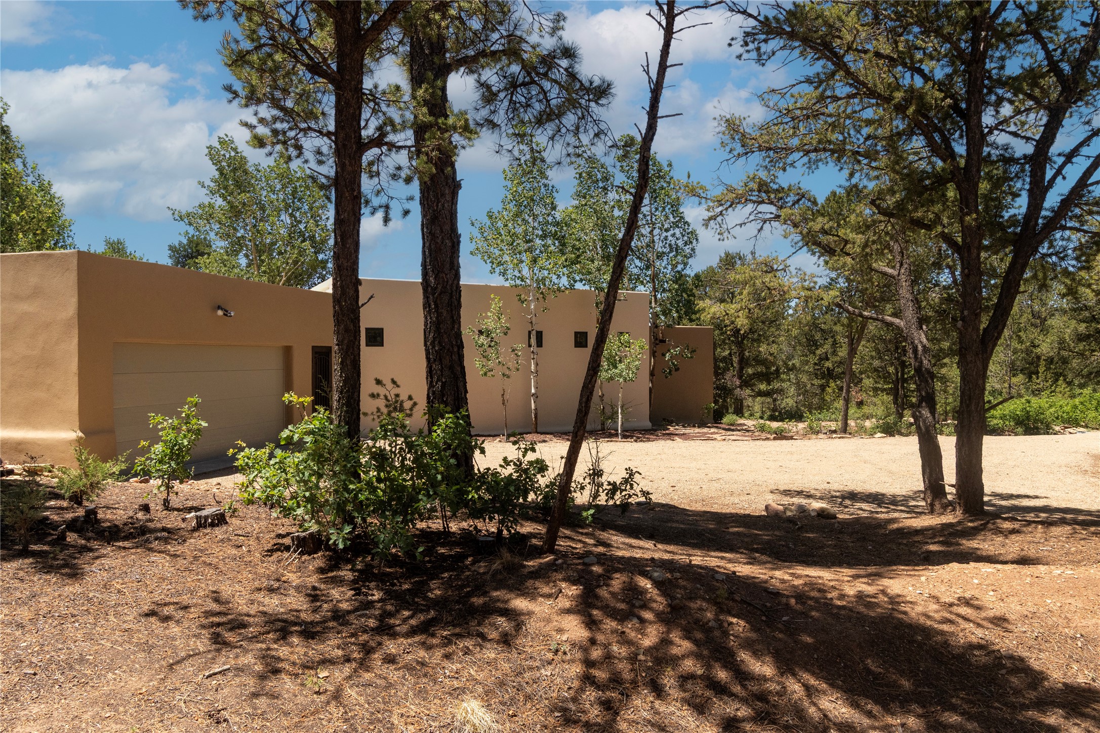35 Canchal