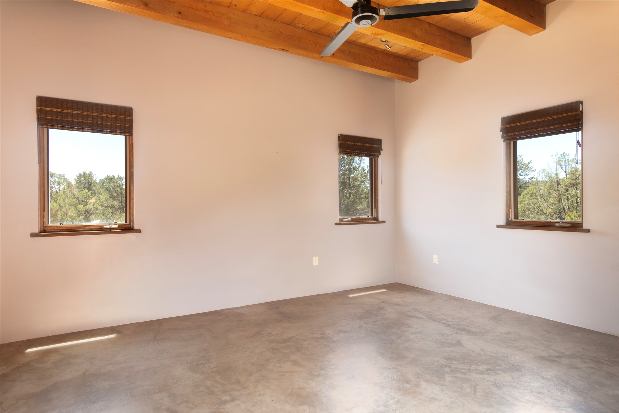 35 Canchal