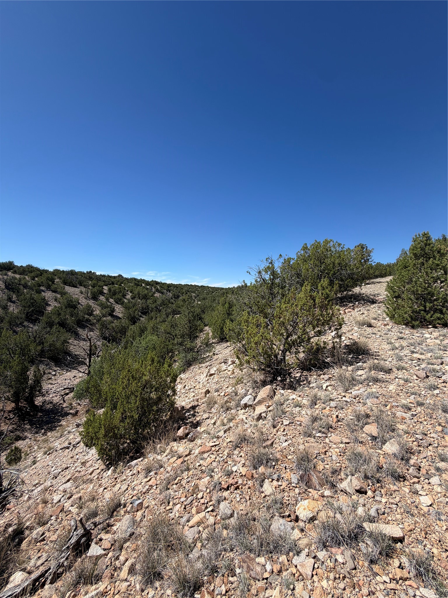 7 Rancho De Shama B