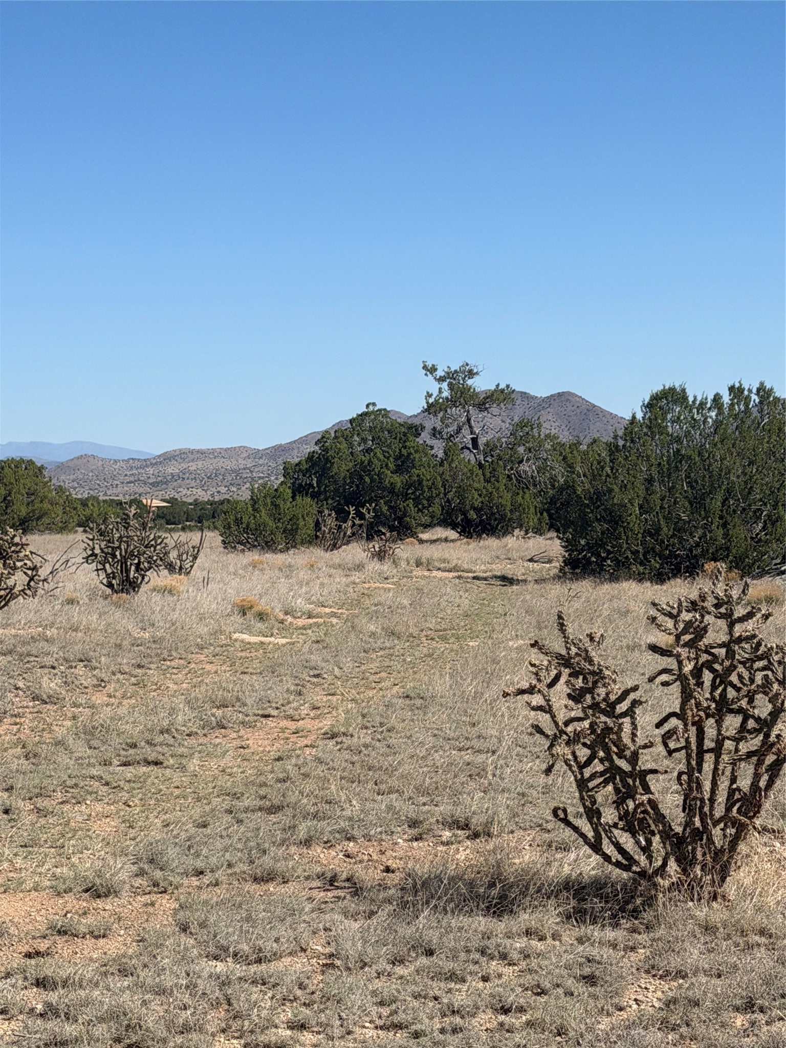 7 Rancho De Shama B