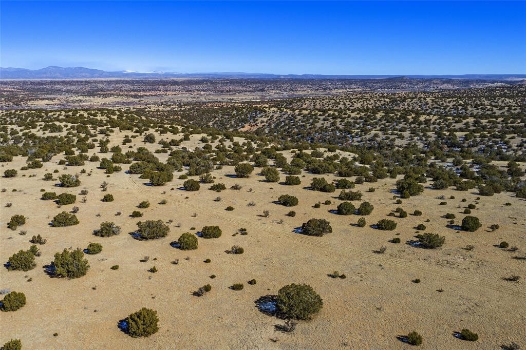 7 Rancho De Shama B