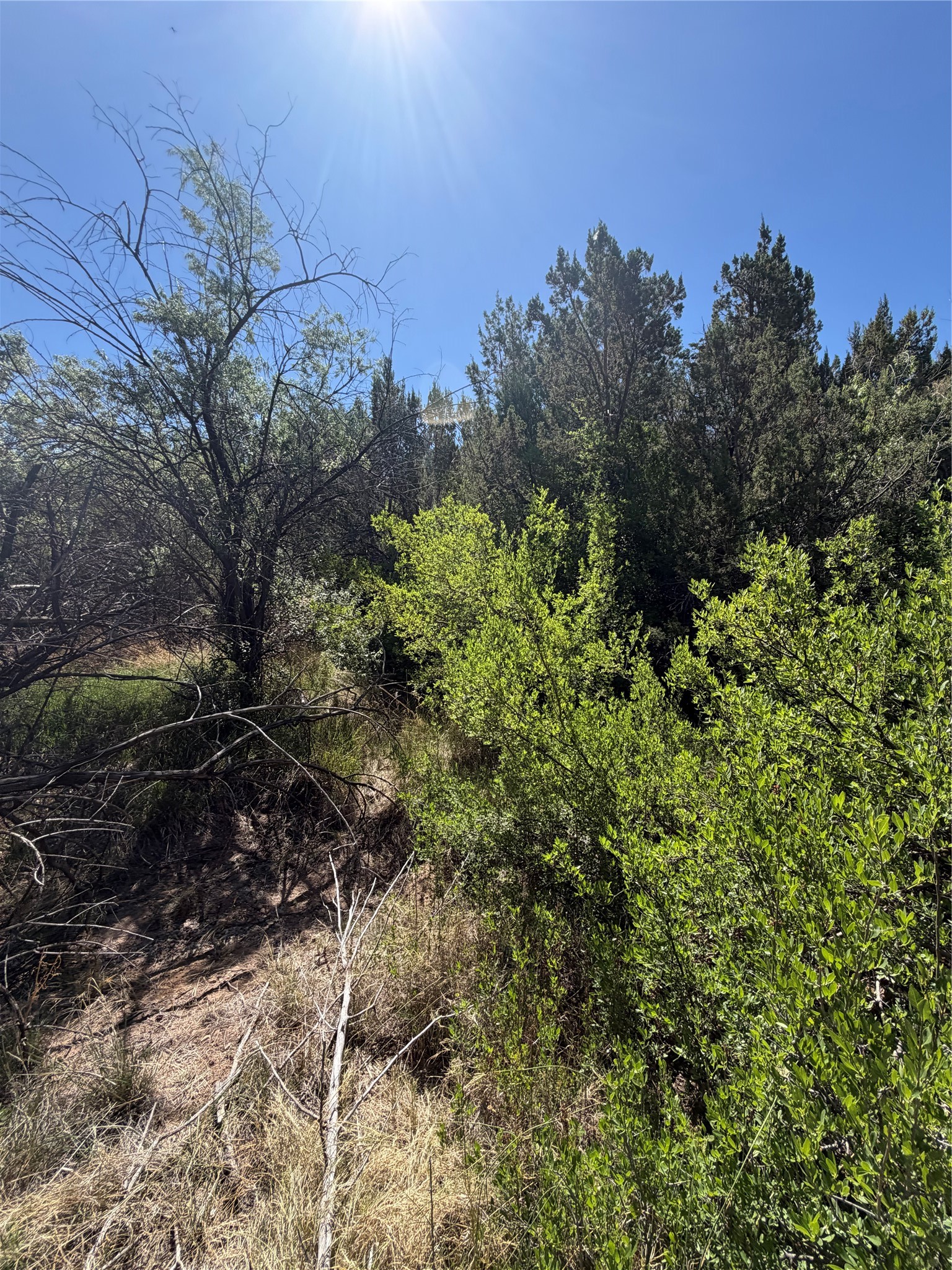 7 Rancho De Shama B