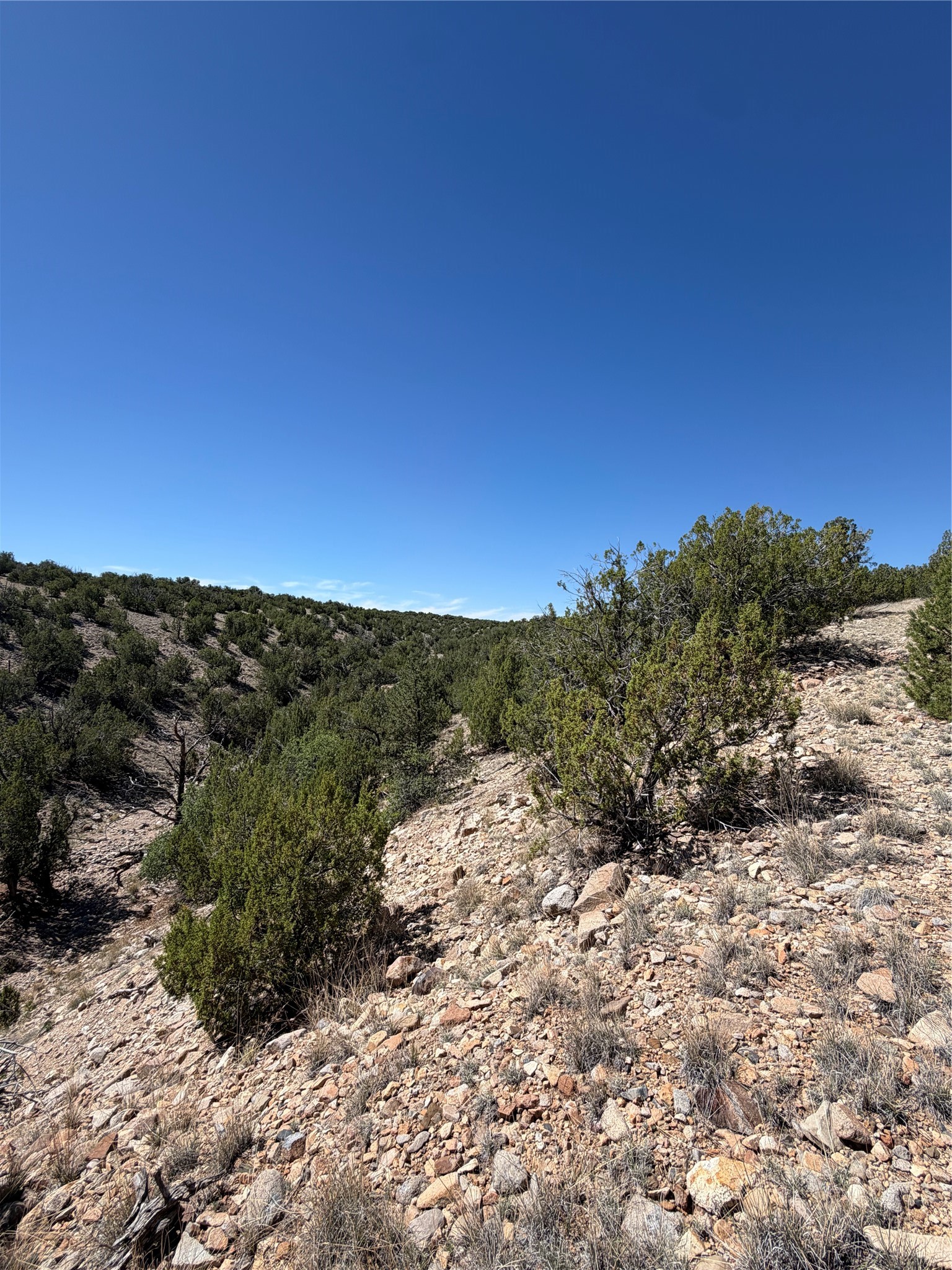 7 Rancho De Shama B