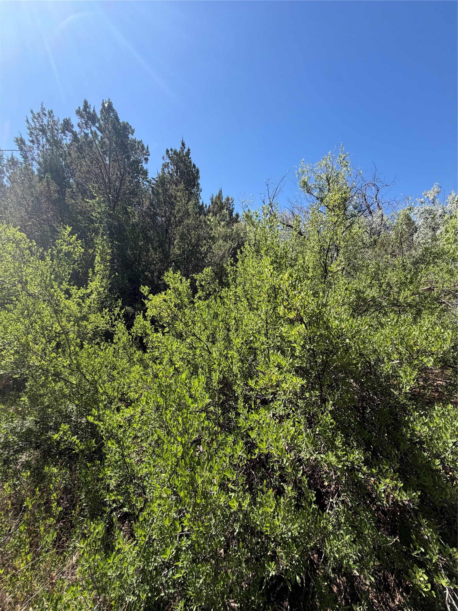 7 Rancho De Shama B