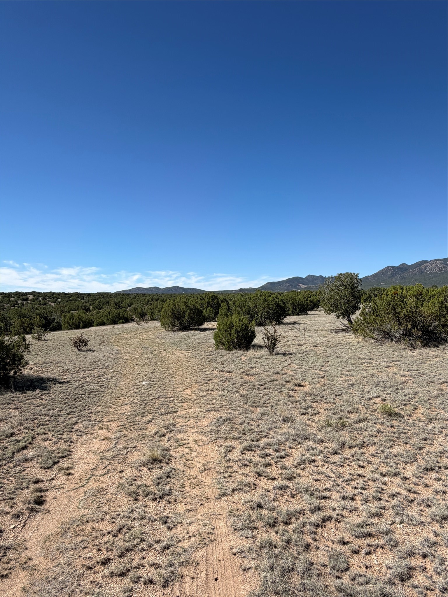 7 Rancho De Shama B
