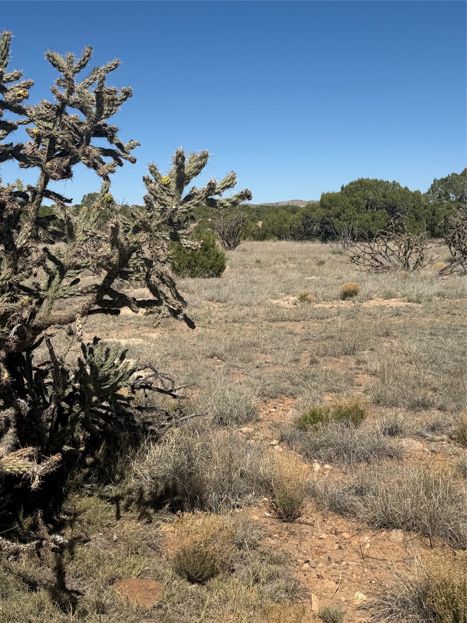 7 Rancho De Shama B