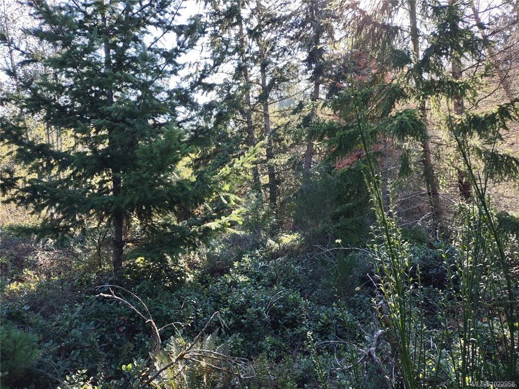 Lot 11 Goldstream Heights Dr