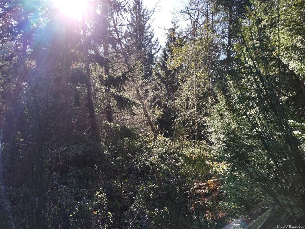 Lot 11 Goldstream Heights Dr