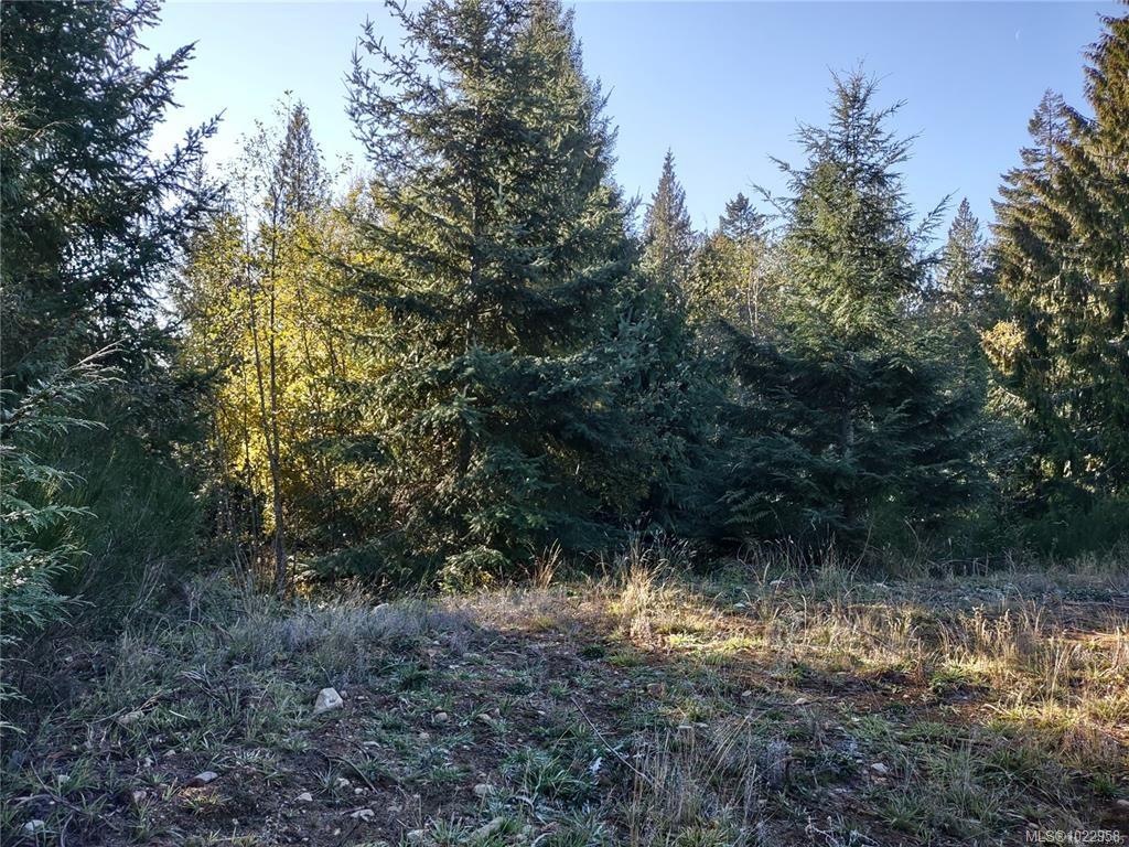 Lot 11 Goldstream Heights Dr