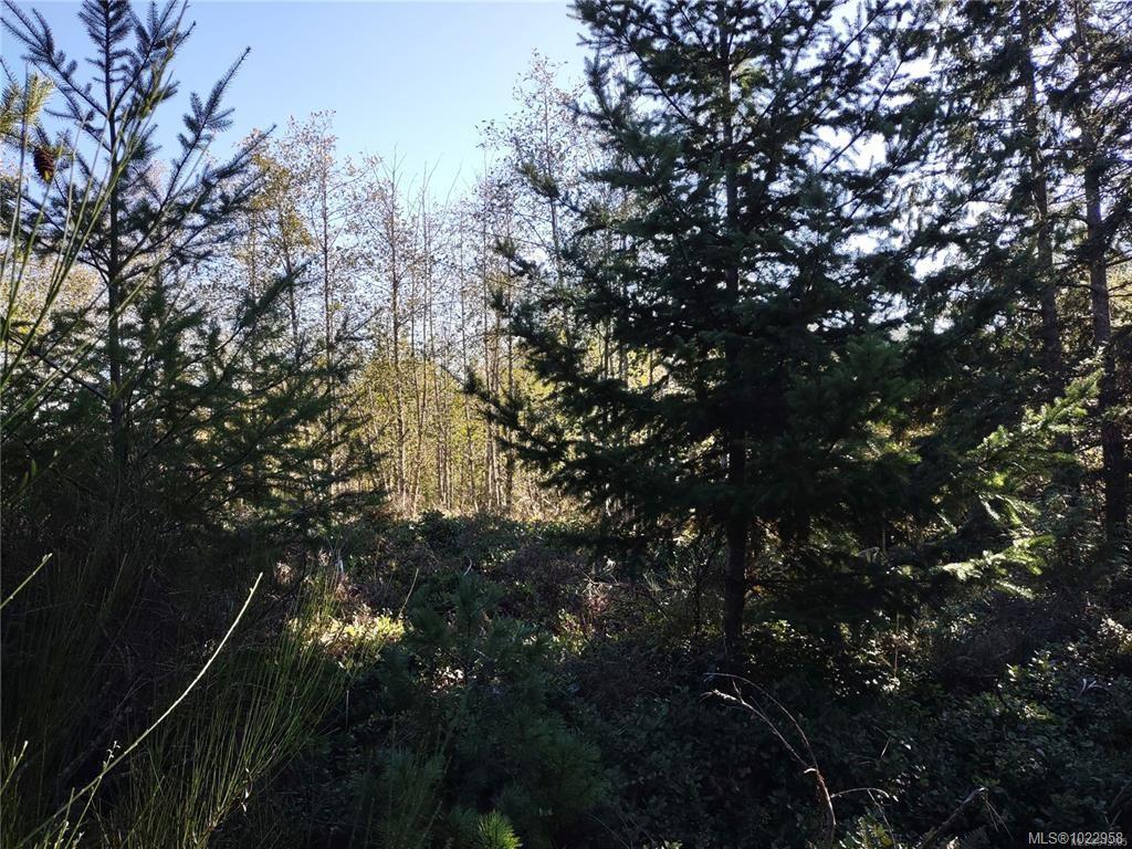 Lot 11 Goldstream Heights Dr