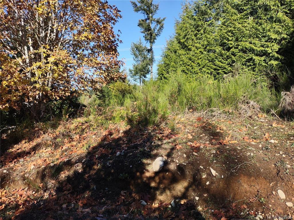 Lot 11 Goldstream Heights Dr