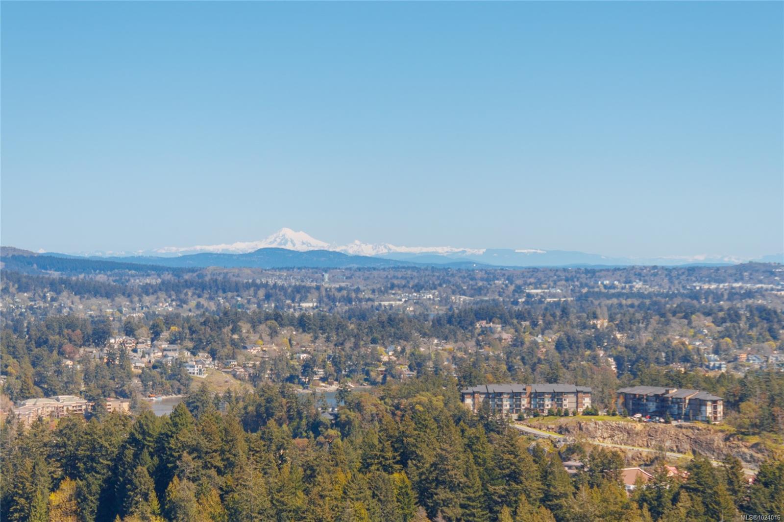 2713 Goldstone Hts
