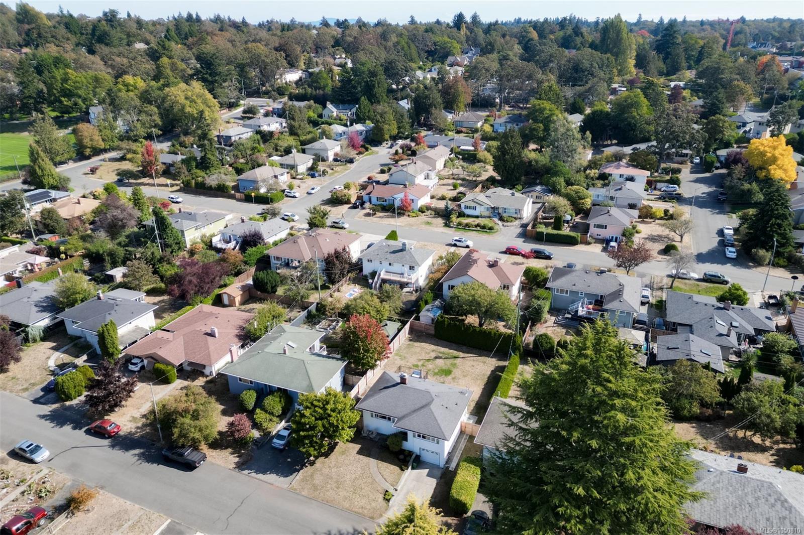3221 Service St