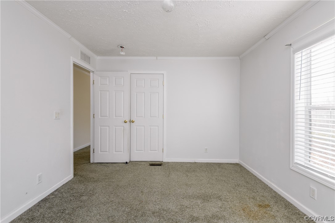384 Wildlife Ln