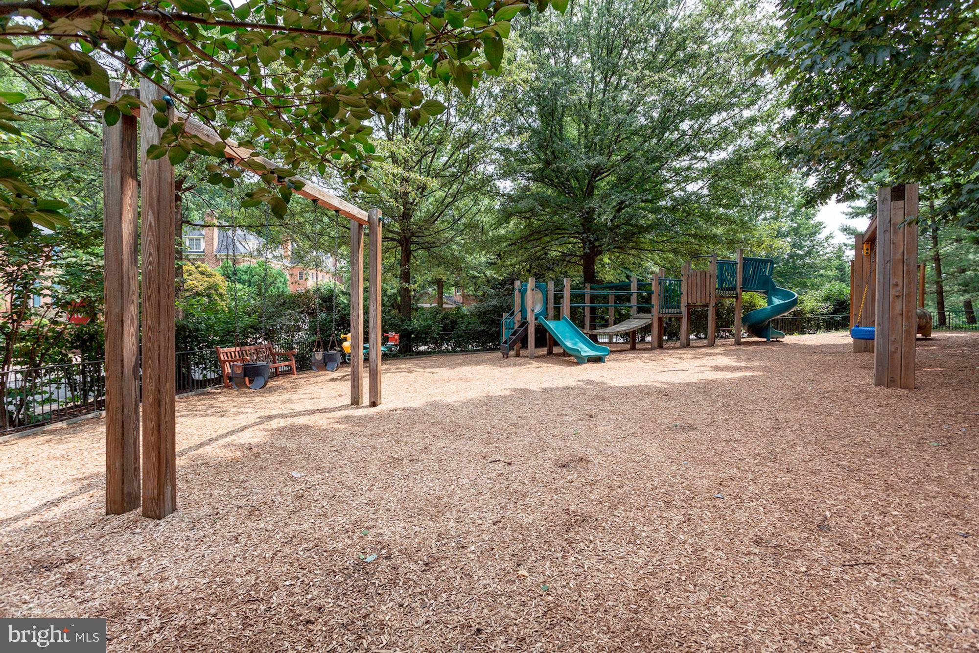 3911 Ivy Terrace Ct NW