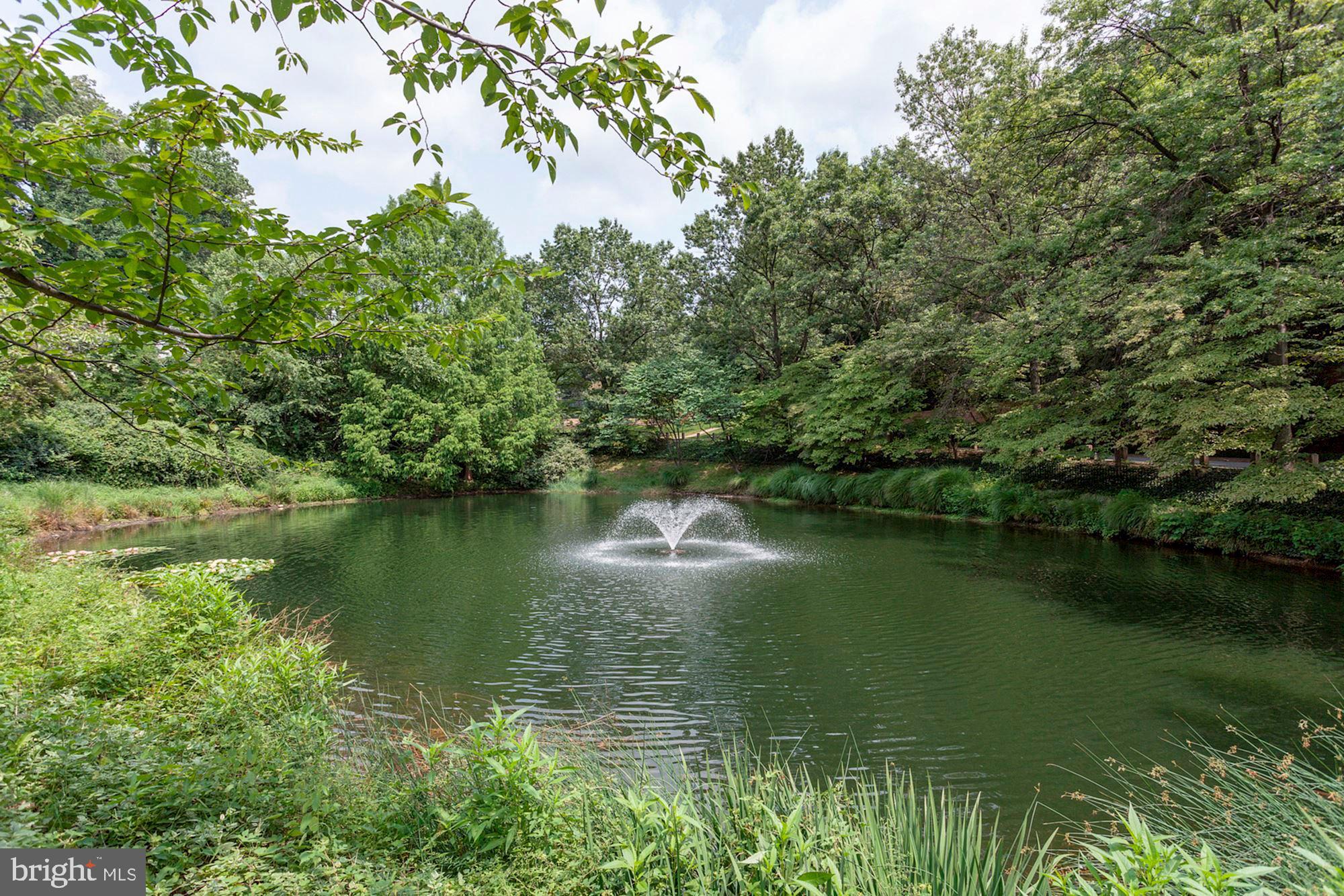 3911 IVY TERRACE COURT NW