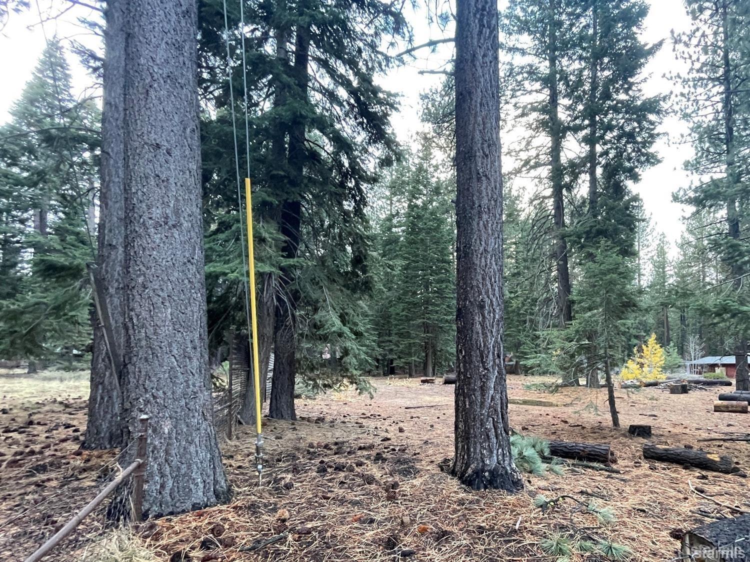 1223 Bonanza Avenue Unit: 7