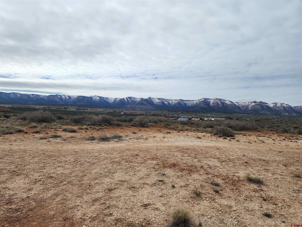 1033-1058 Nicholette