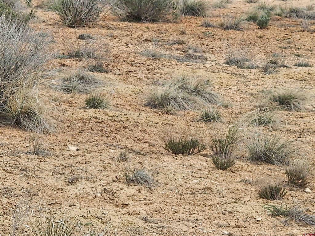 1033-1058 Nicholette