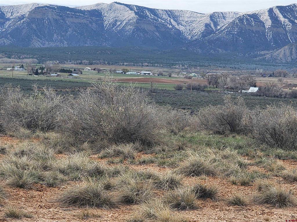 1033-1058 Nicholette