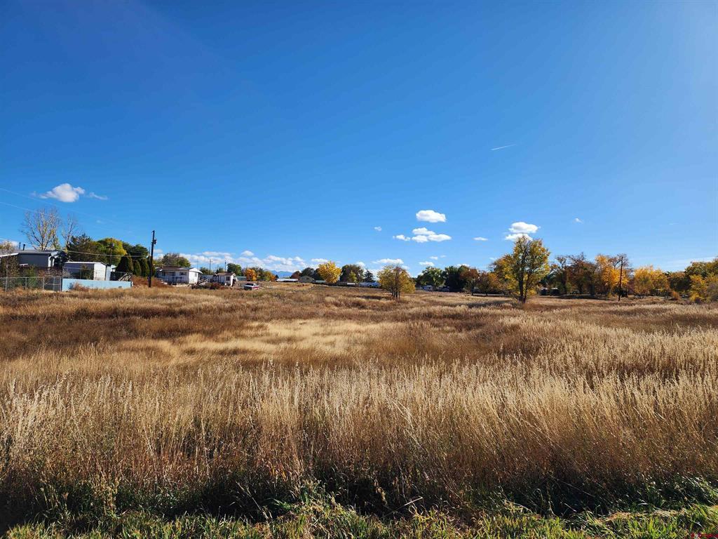 1002 E Driscoll Street