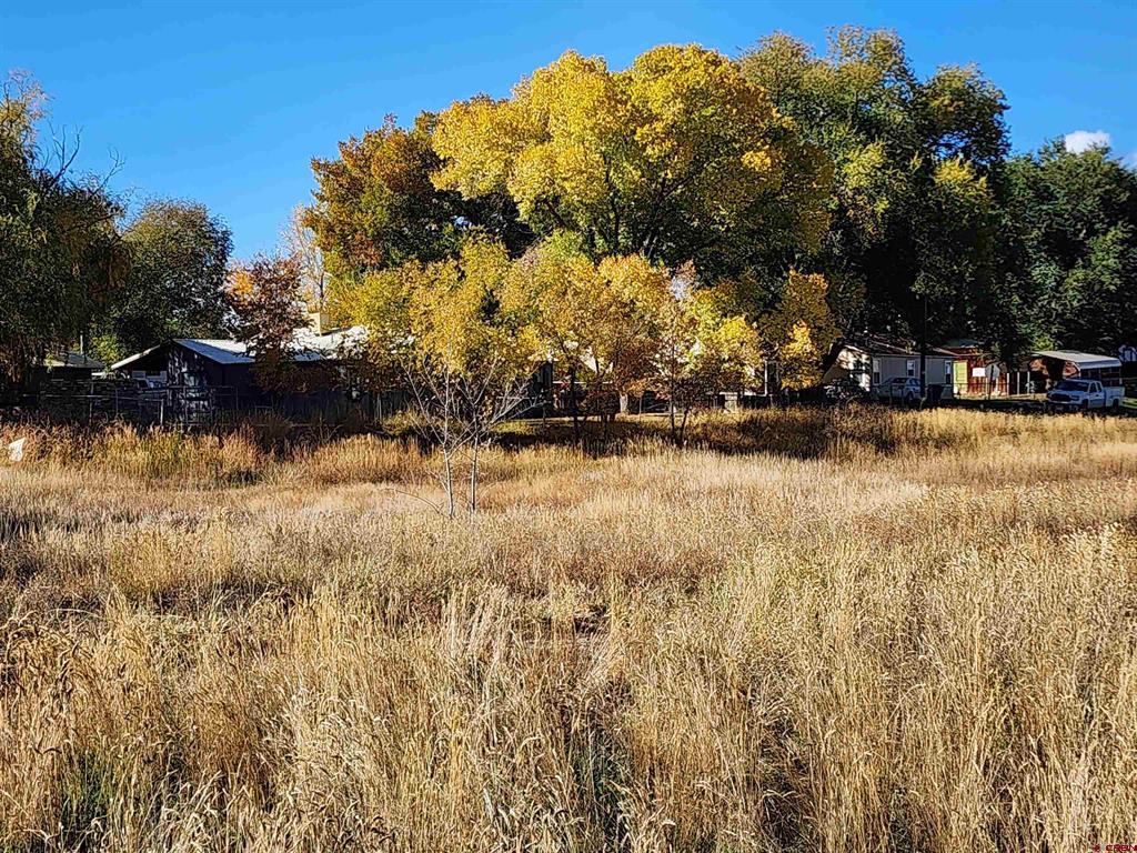 1002 E Driscoll Street