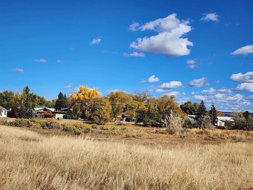 1002 E Driscoll Street