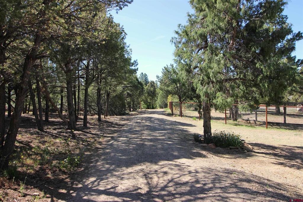 37949 HWY 184