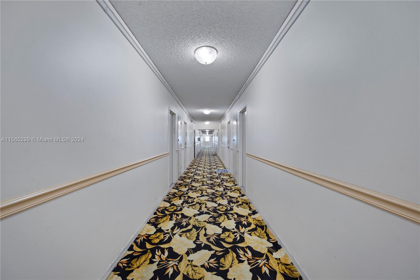 5001 Collins Ave # 12A