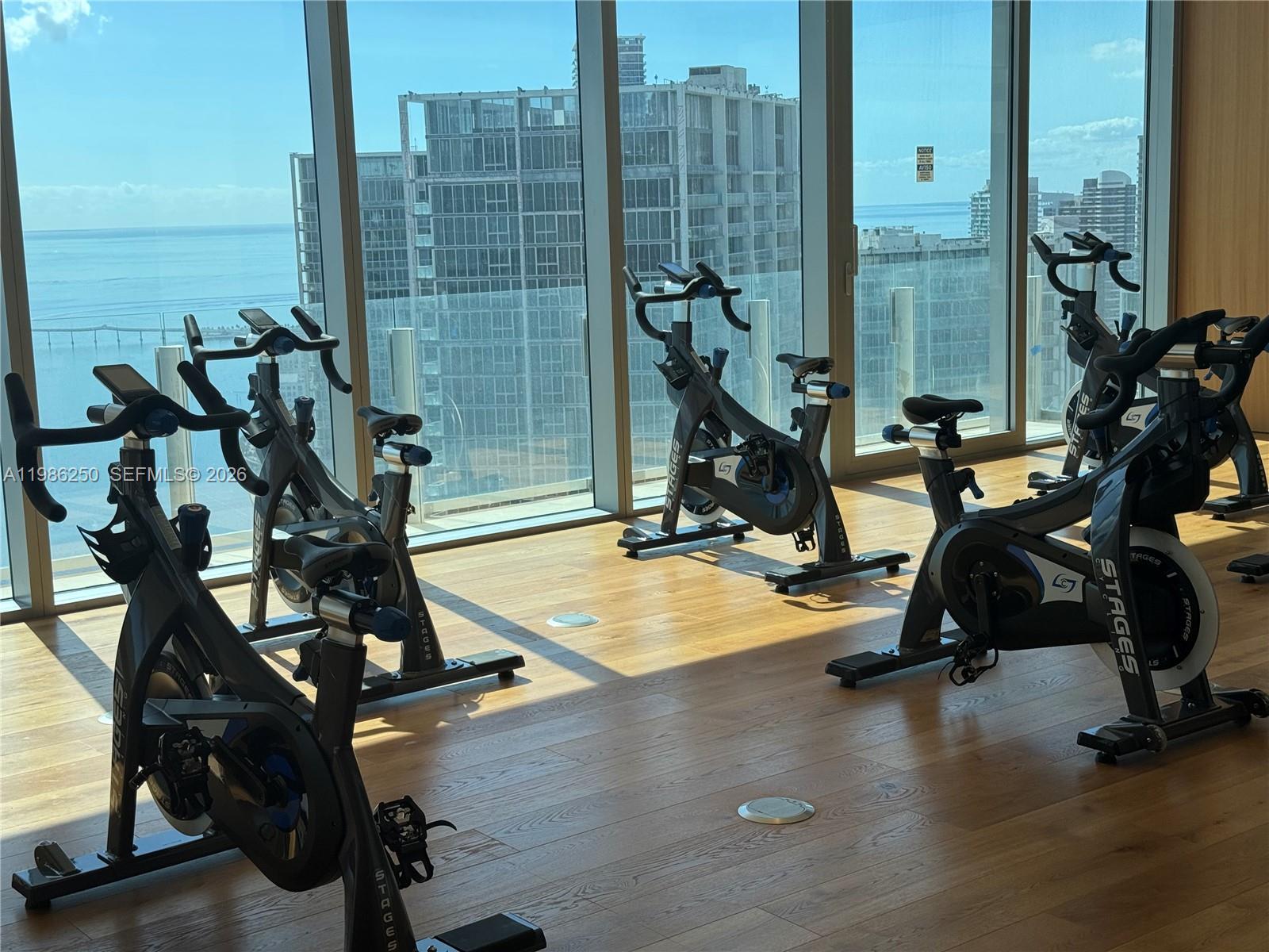 300 Biscayne Boulevard Way # 3805W